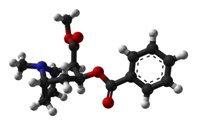 Cocaine Model